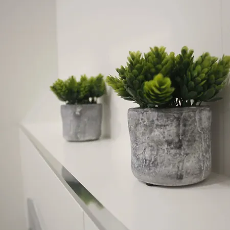 酒店 Hotel Arzua Arzúa