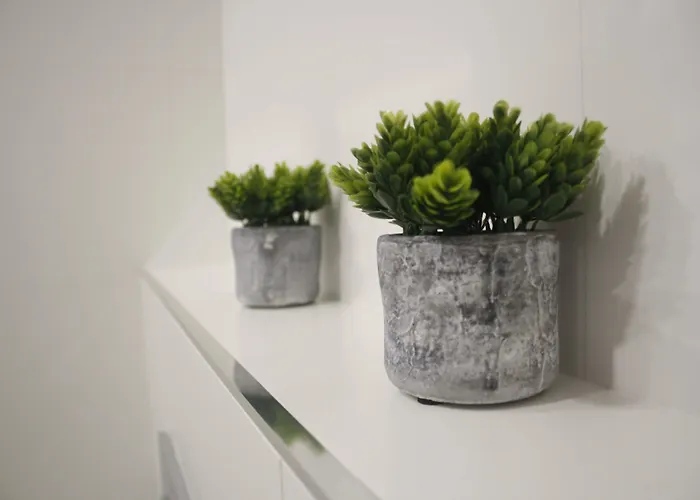 מלון Hotel Arzua Arzúa